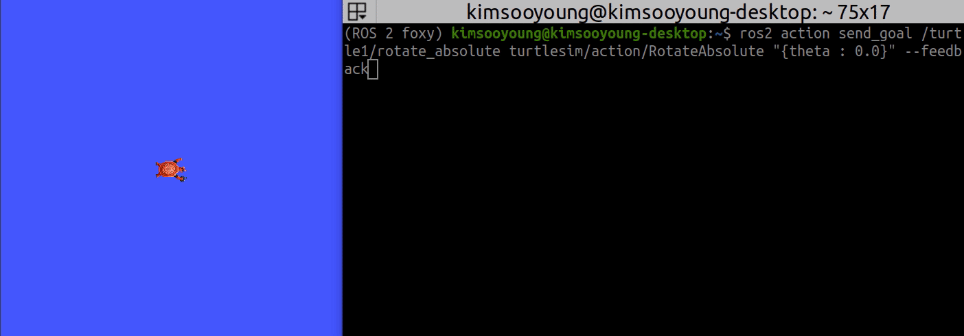 action_turn_turtle.gif