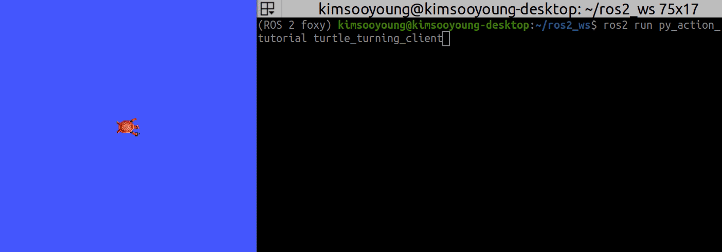 actoin_client.gif