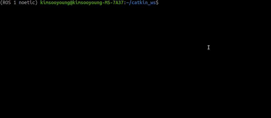 catkin_build.gif