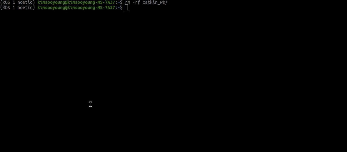 catkin_ws.gif